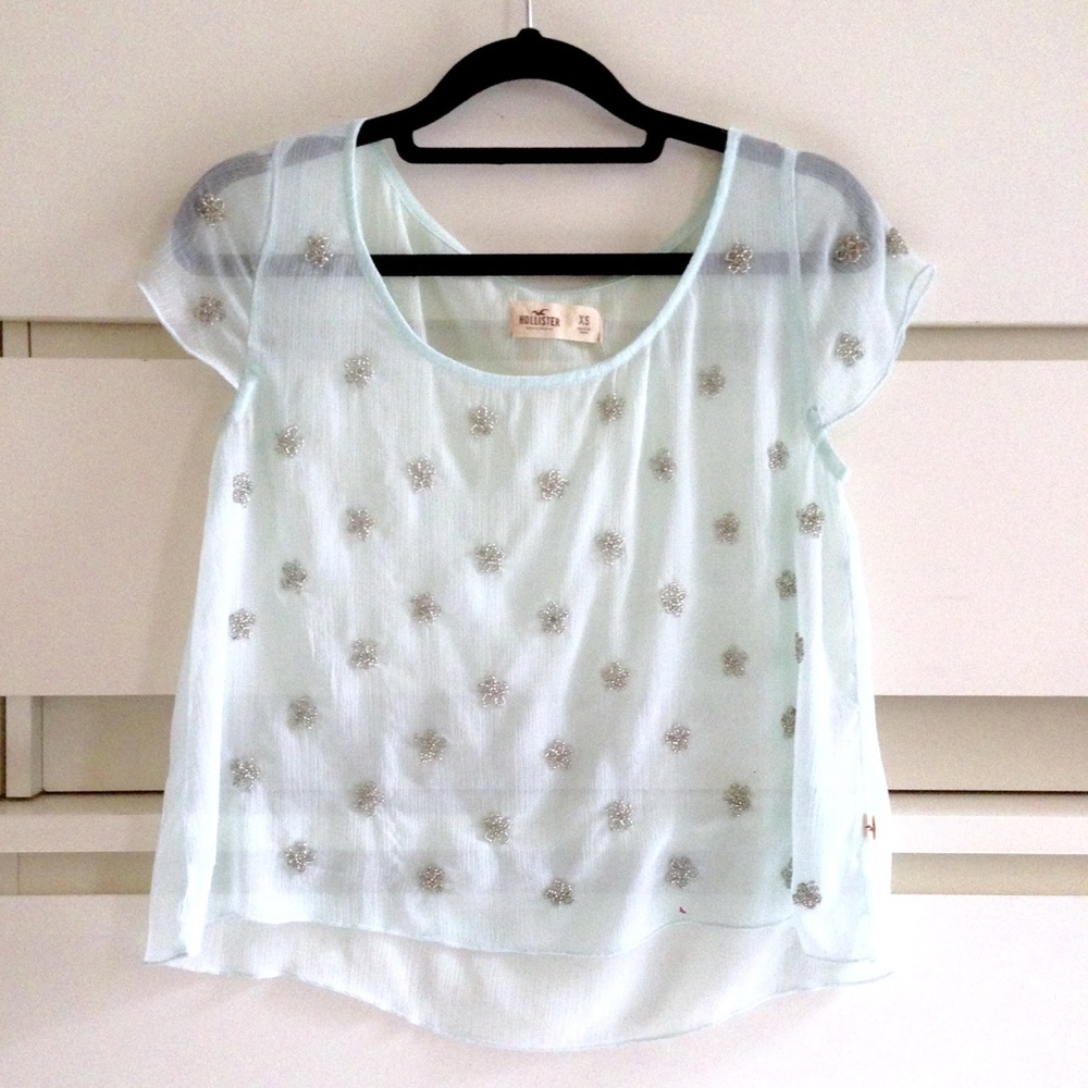 Hollister • sheer crop top with beaded flowers